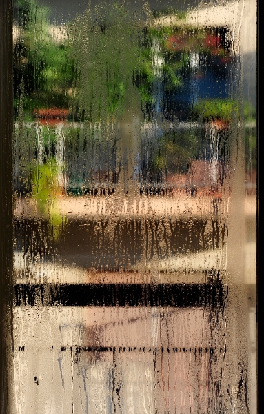 Irina Rojin - Fereastra Nr3.jpg